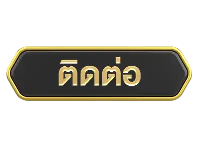 แบนเนอร์ 11