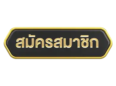 แบนเนอร์ 3